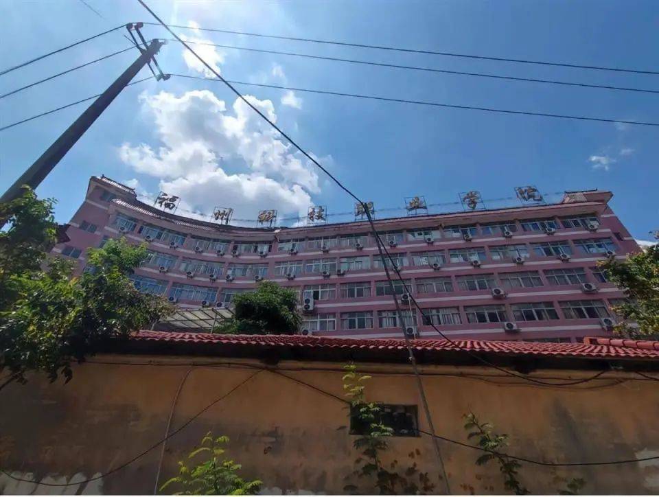 福建一高校用卷帘门做大门？网友调侃“如此潦草”<strong></p>
<p>卷帘门</strong>，校方回应:卷帘门